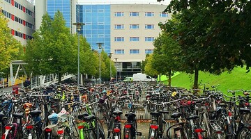 Uniwersytet Maastricht, Holandia